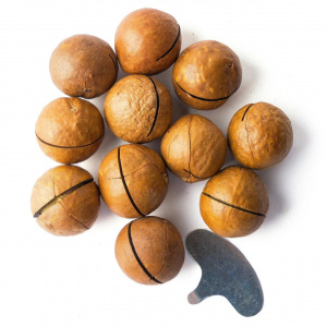 Макадамия крупная 5А 