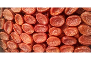 Курага лодка монетка 