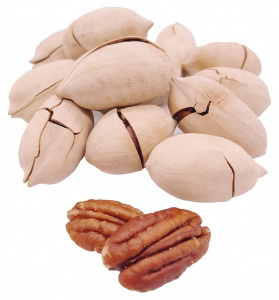 Пекан орех в скорлупе 5А 0,5*20шт